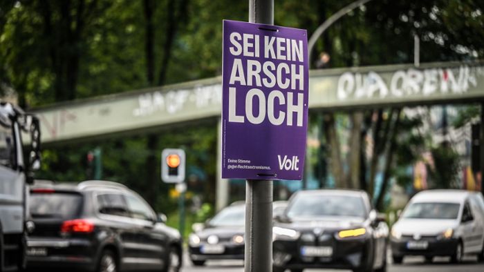 Europawahlen und Kommunalwahlen 2024: „Sei kein A...“ – Die Aufsehen erregendsten   Wahlplakate im Ländle