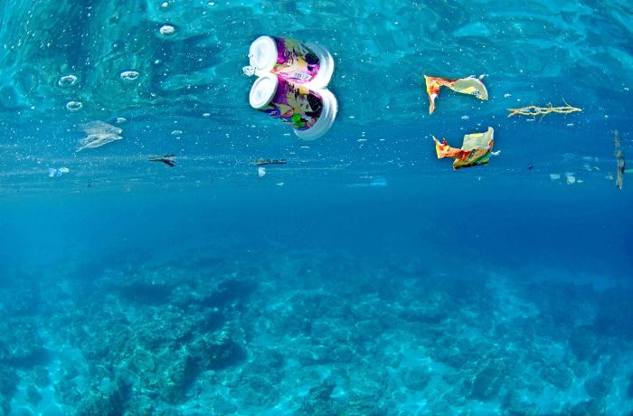 Welttag der Meere: Ozeane sind in Gefahr