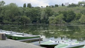 Max-Eyth-See: Wasserpflanzen bremsen erneut Bootsverleih aus