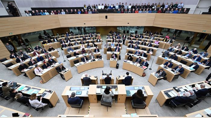 FDP stützt Volksbegehren für kleineren Landtag